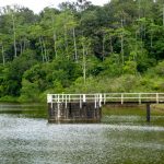 Hiyare Reservoir Rain Forest