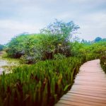 Beddagana Wetland Park