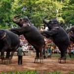 National Zoological Gardens of Sri Lanka