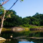 Kaludiya Pokuna Forest and Archeological Site