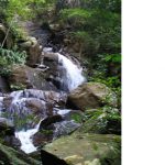 Udagama Handhapan Ella Waterfall