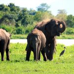 Wasgamuwa National Park