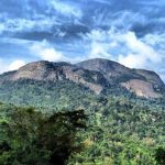 Brandy Rock