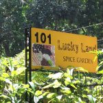 Lucky Land Spice Garden