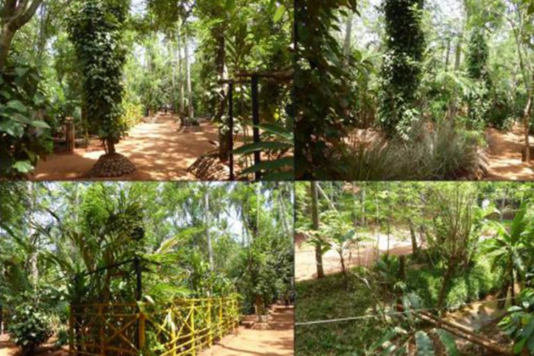 Regent Spice & Herbal Garden Attractions in Sri lanka