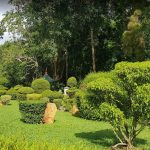 Gampaha Botanical Garden