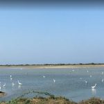 Mannar Bird Sanctuary