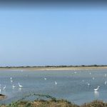 Mannar Bird Sanctuary