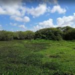 Kotuaththawala Bird Sanctuary