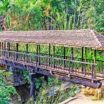 Bogoda Wooden Bridge