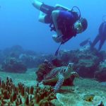 Kalpitiya Diving Center