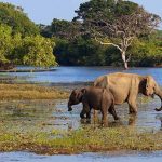 Madhu Road National Park