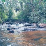 Kaluwarathenna Natural Pool