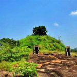Niyuguna Purana Rajamaha Viharaya Archaeological Site